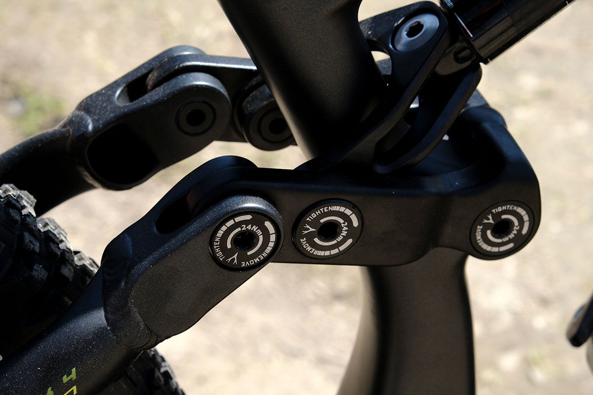 seaotter2017-_whyte007