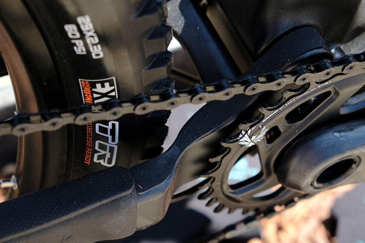 seaotter2017-_whyte008