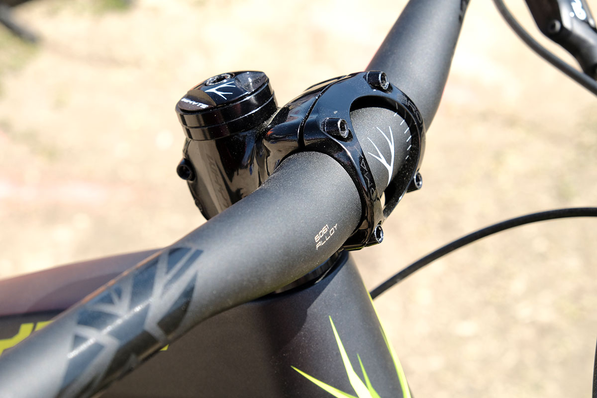 seaotter2017-_whyte009