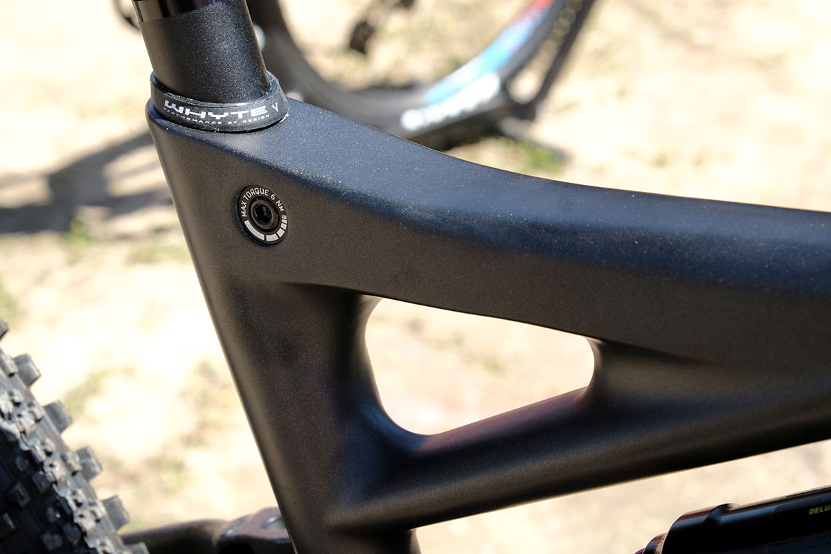 seaotter2017-_whyte010