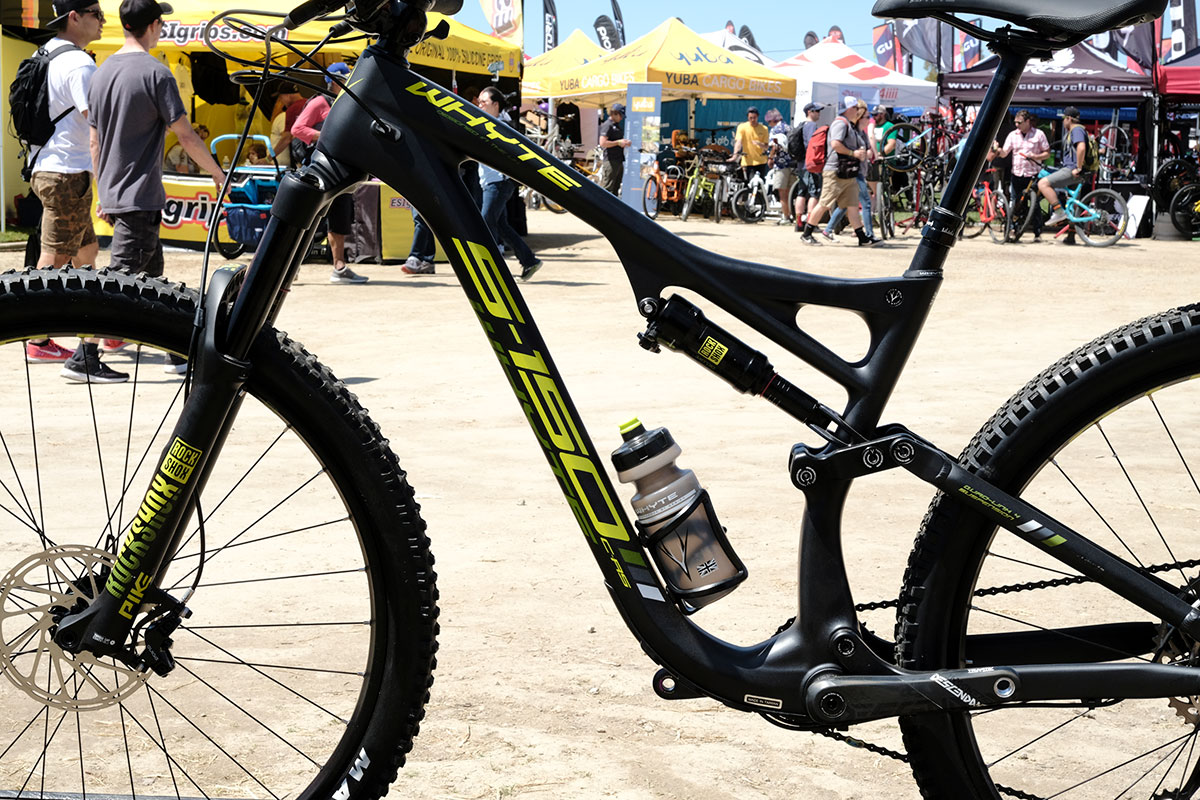 seaotter2017-_whyte013