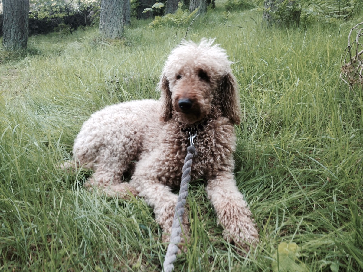 Monday Morning Debrief 88