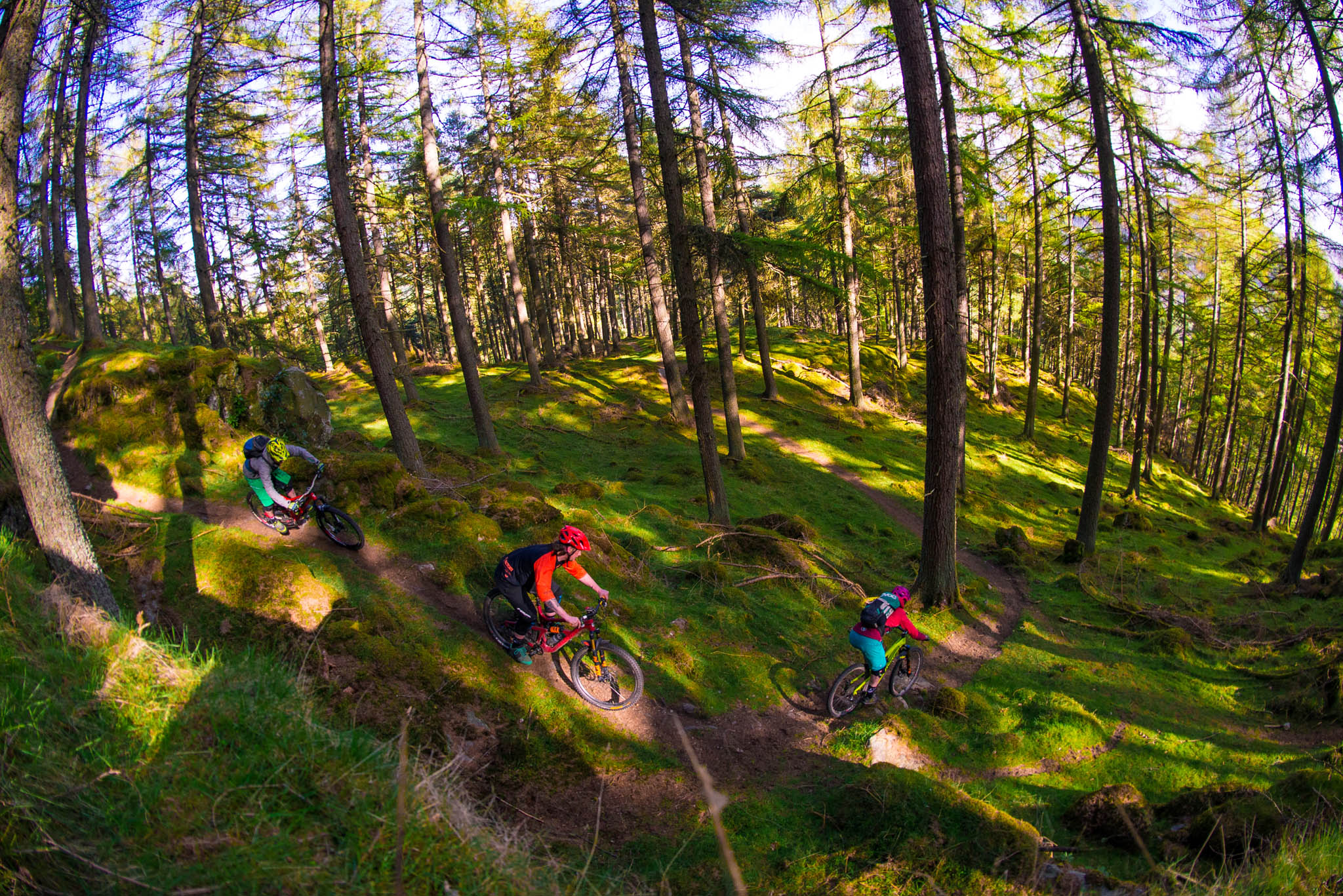 issue 113, dunkeld, pete scullion, premier