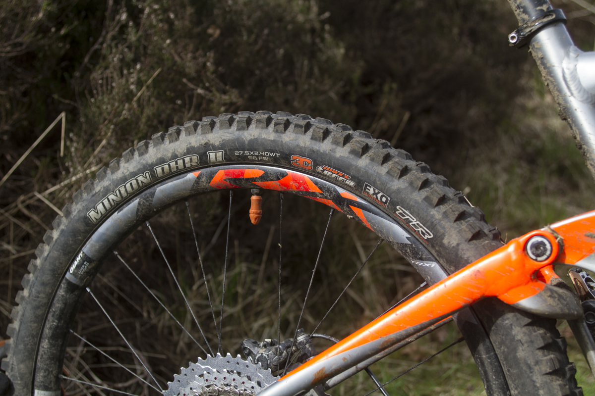 maxxis dhr