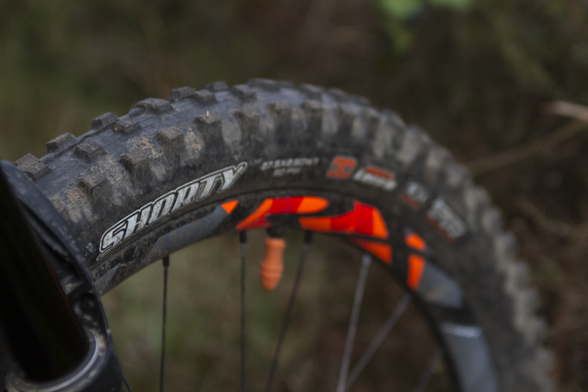 maxxis shorty