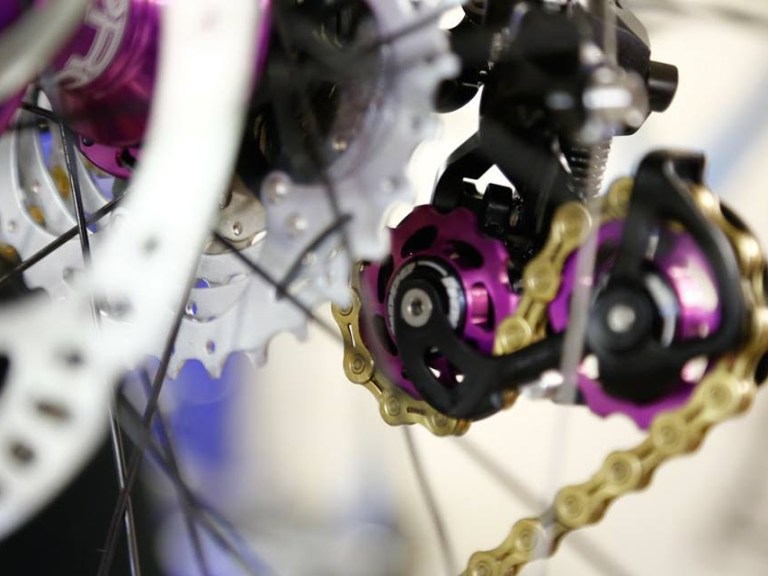 Bike Naming: A Step Too Gnar?