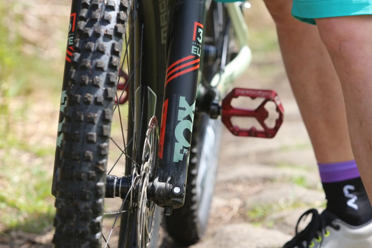 Fox 36 forks.
