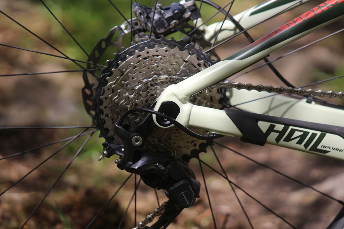 Plenty of gears for climbing.