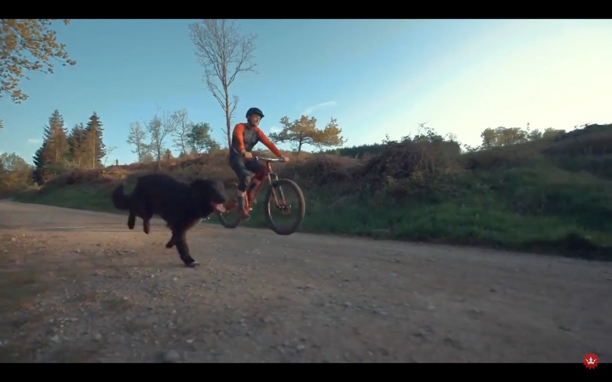 Video: Stanton Slackline & Mac The Trail Dog