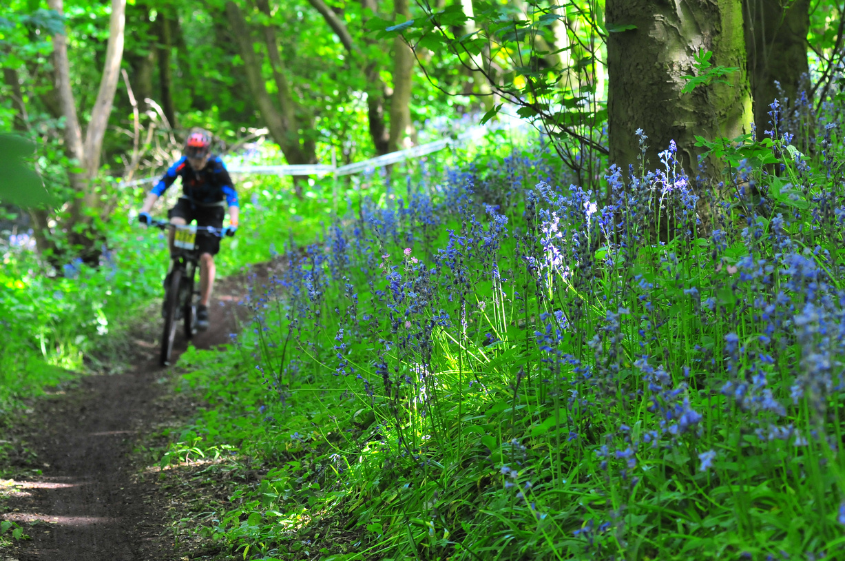 singletrack-7-815-zf-9887-46576-1-004