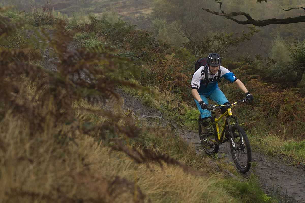 stif morf hardtail bikepark wales david hayward steel hardtail