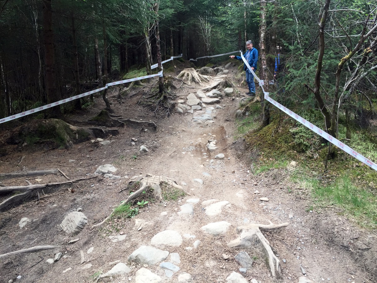 There's a stump gap or something here.