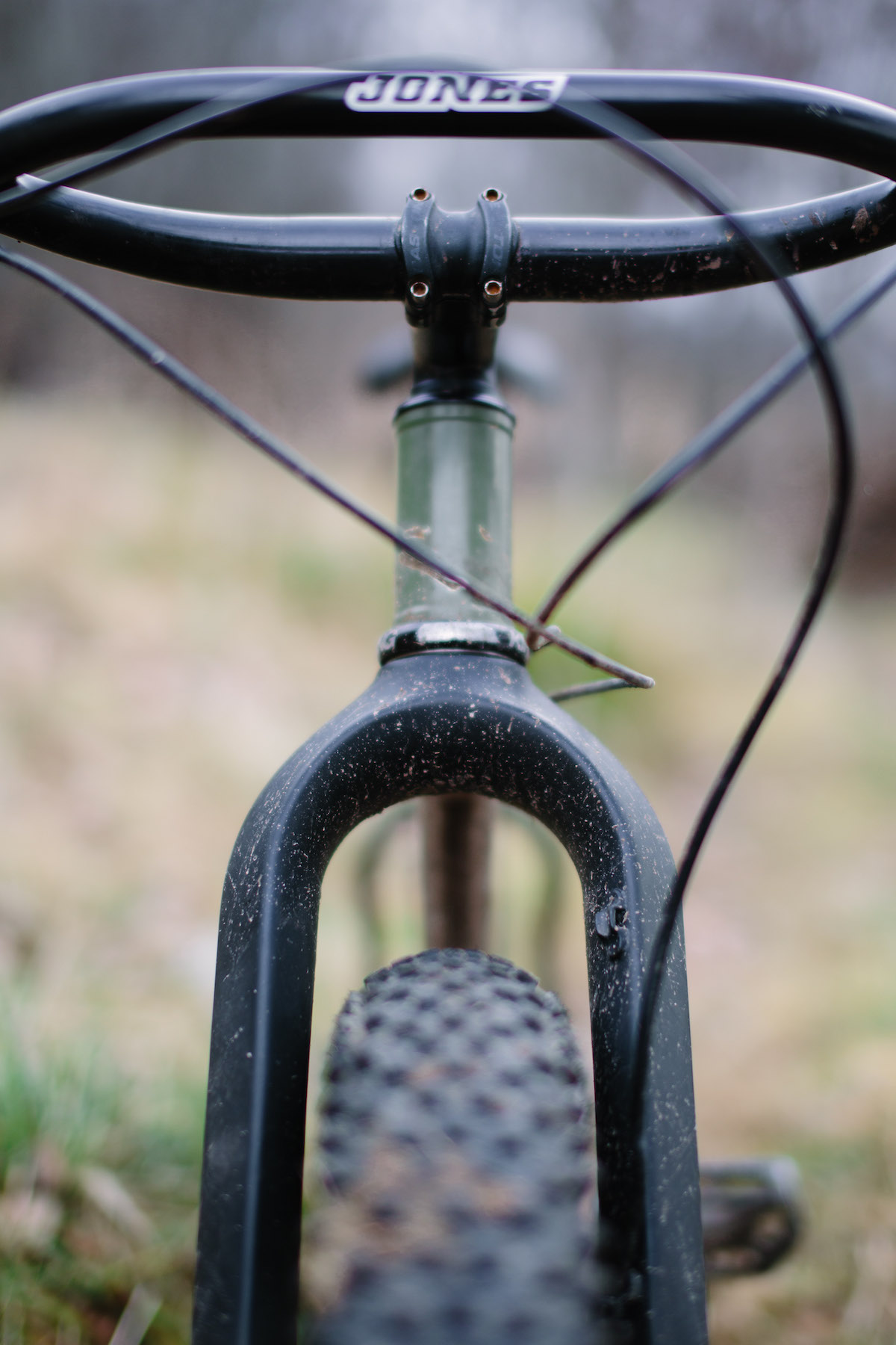 lauf trail racer fork carbon shand lee craigie