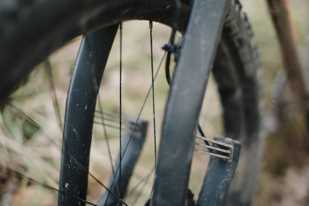 lauf trail racer fork carbon shand lee craigie