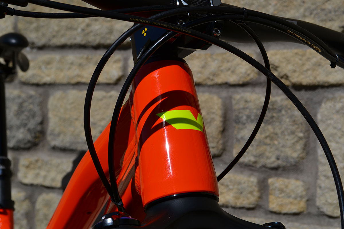 vitus-26