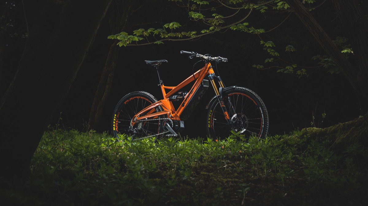 Something is lurking in the woods. Image credit: Roo Fowler/Orange