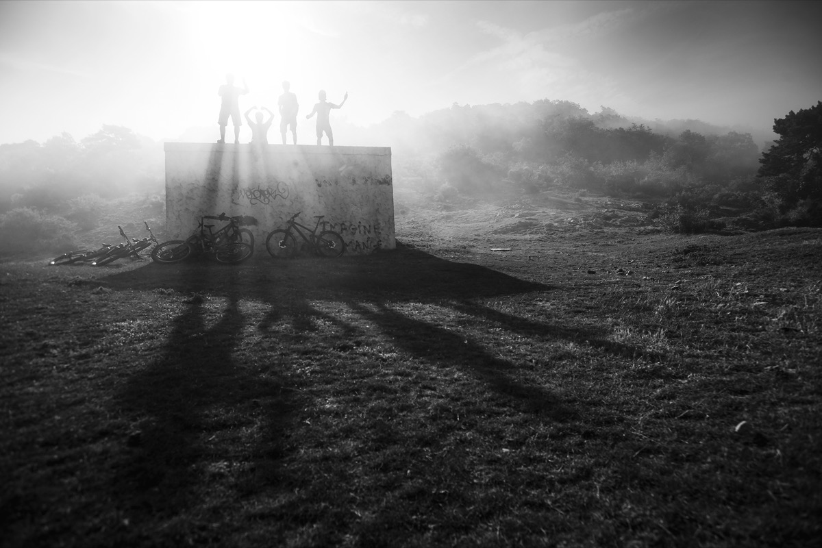 Gorillas in the mist? Credit: Sam Needham
