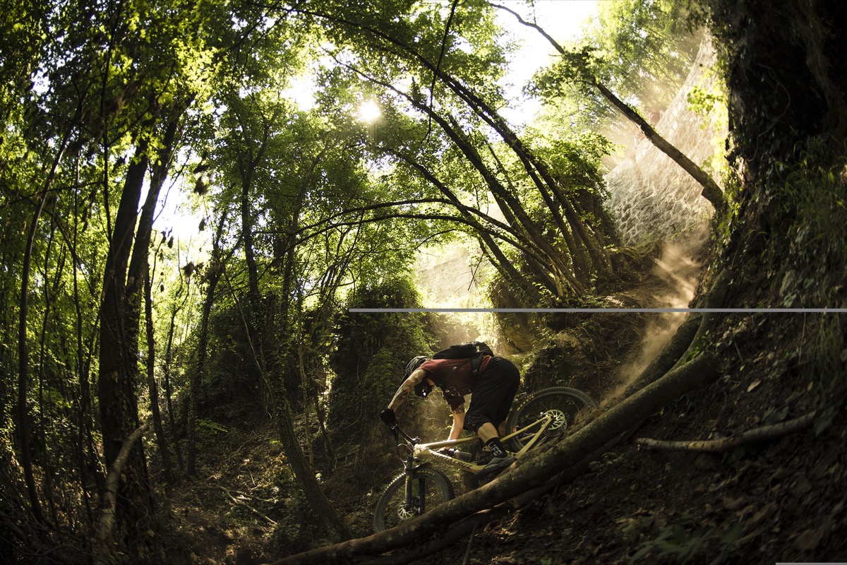 Roost! Credit: Sam Needham