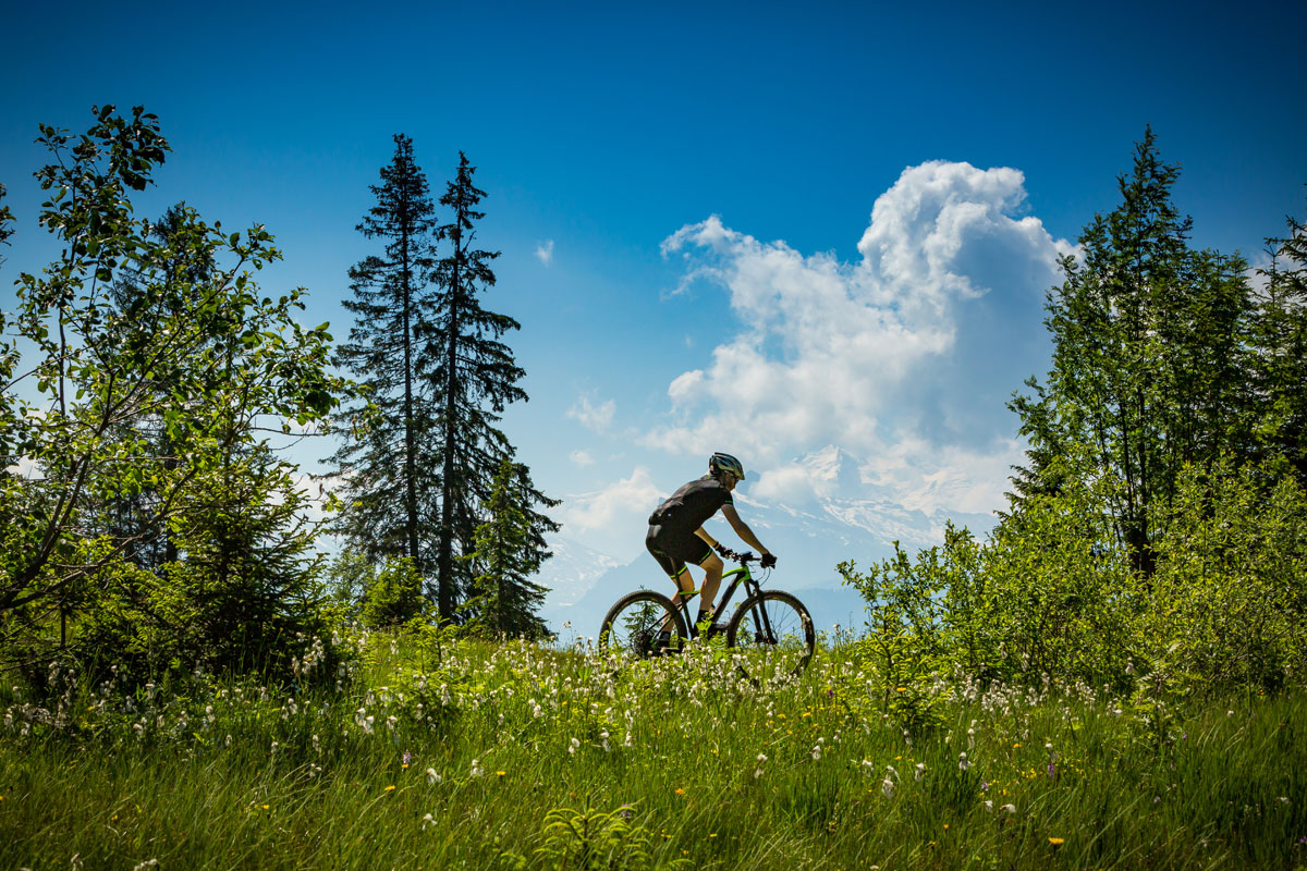 lapierre-press-camp-damian-mcarthur-photography-76