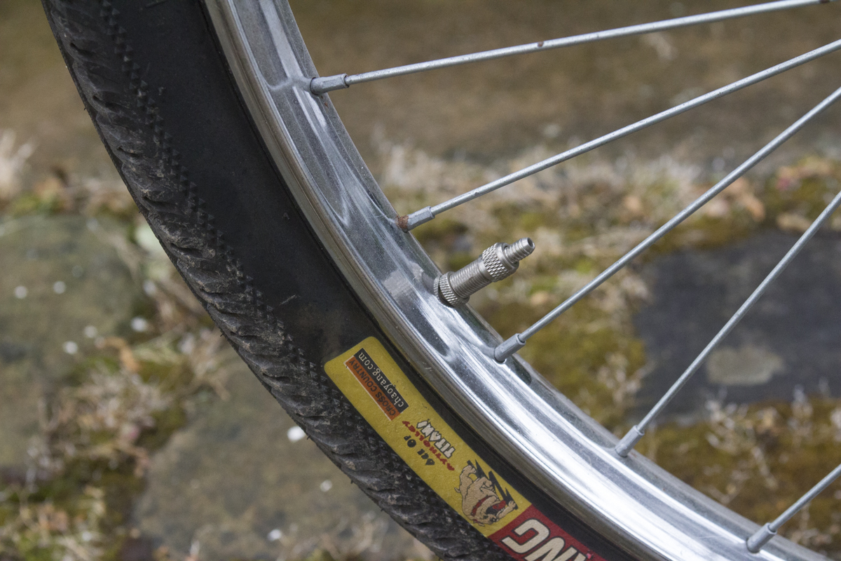 Old school Woods valve, now being replaced by Presta.