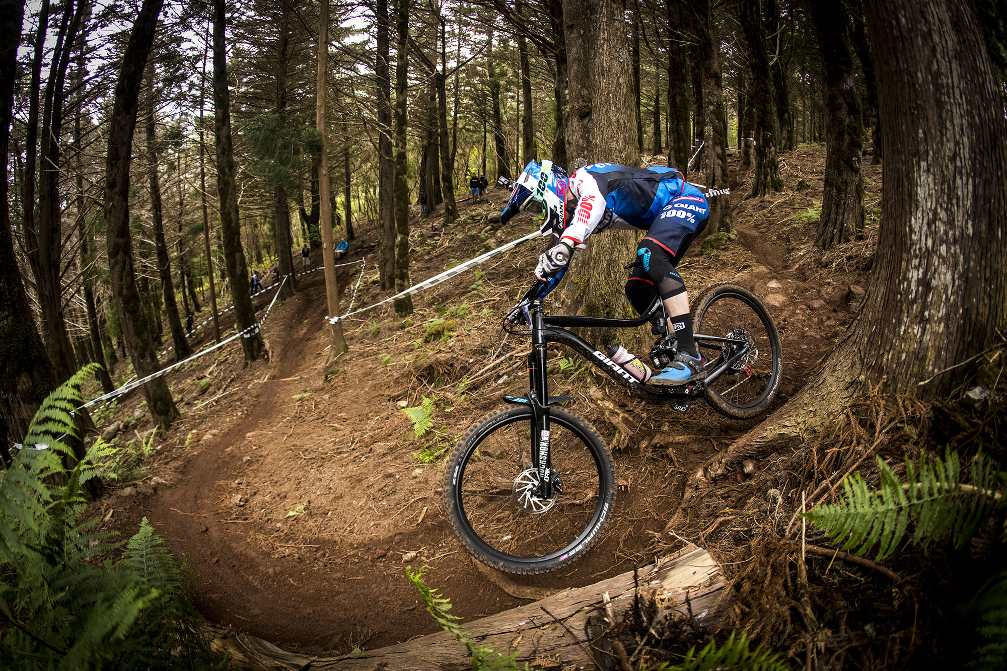 Giant Reveal 2018 Reign Range