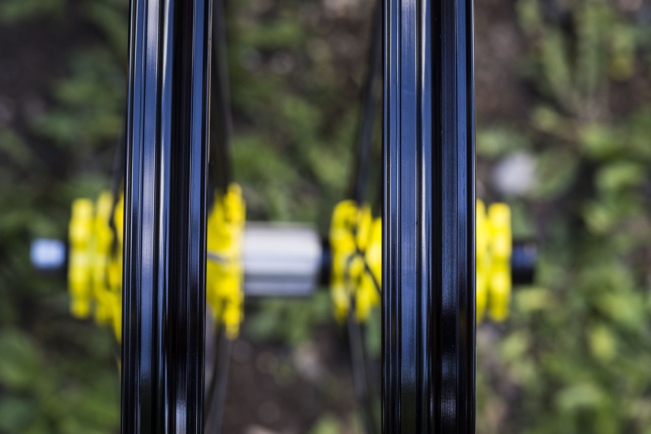 Mavic Deemax