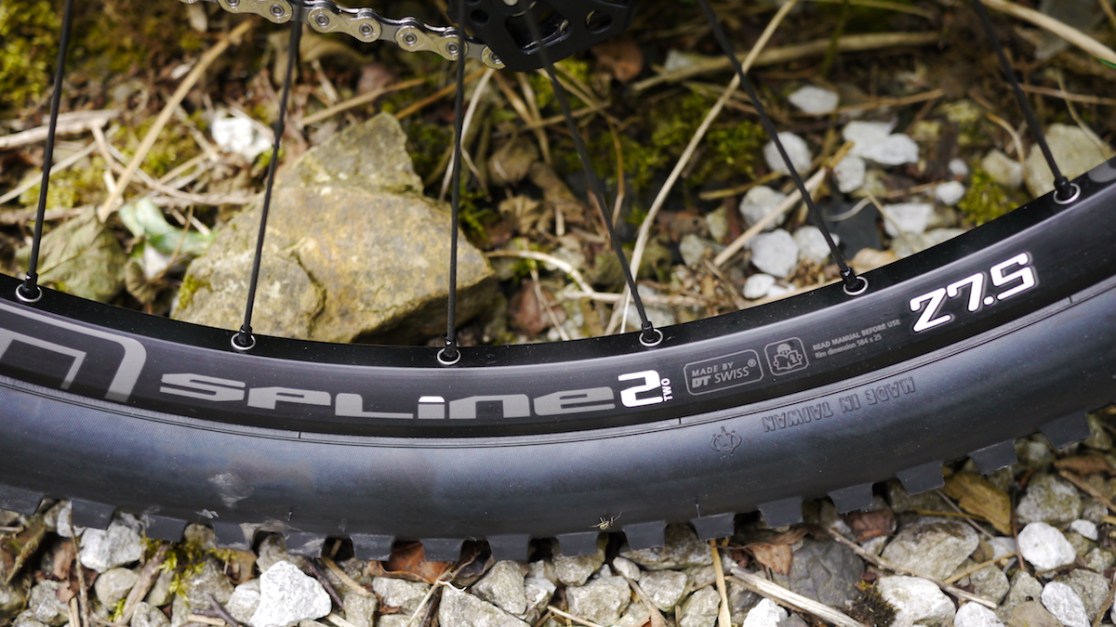 dt swiss minion maxxis