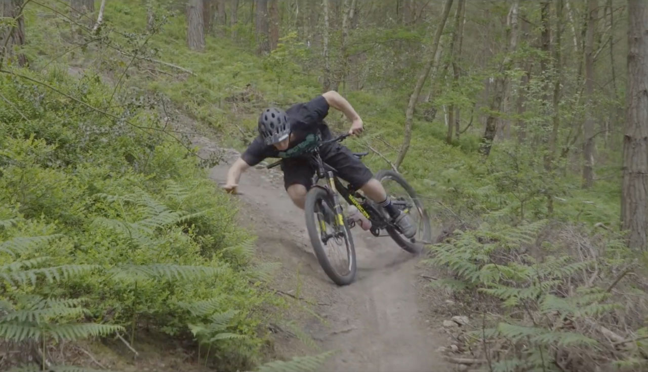 Videos: Will Greenfield