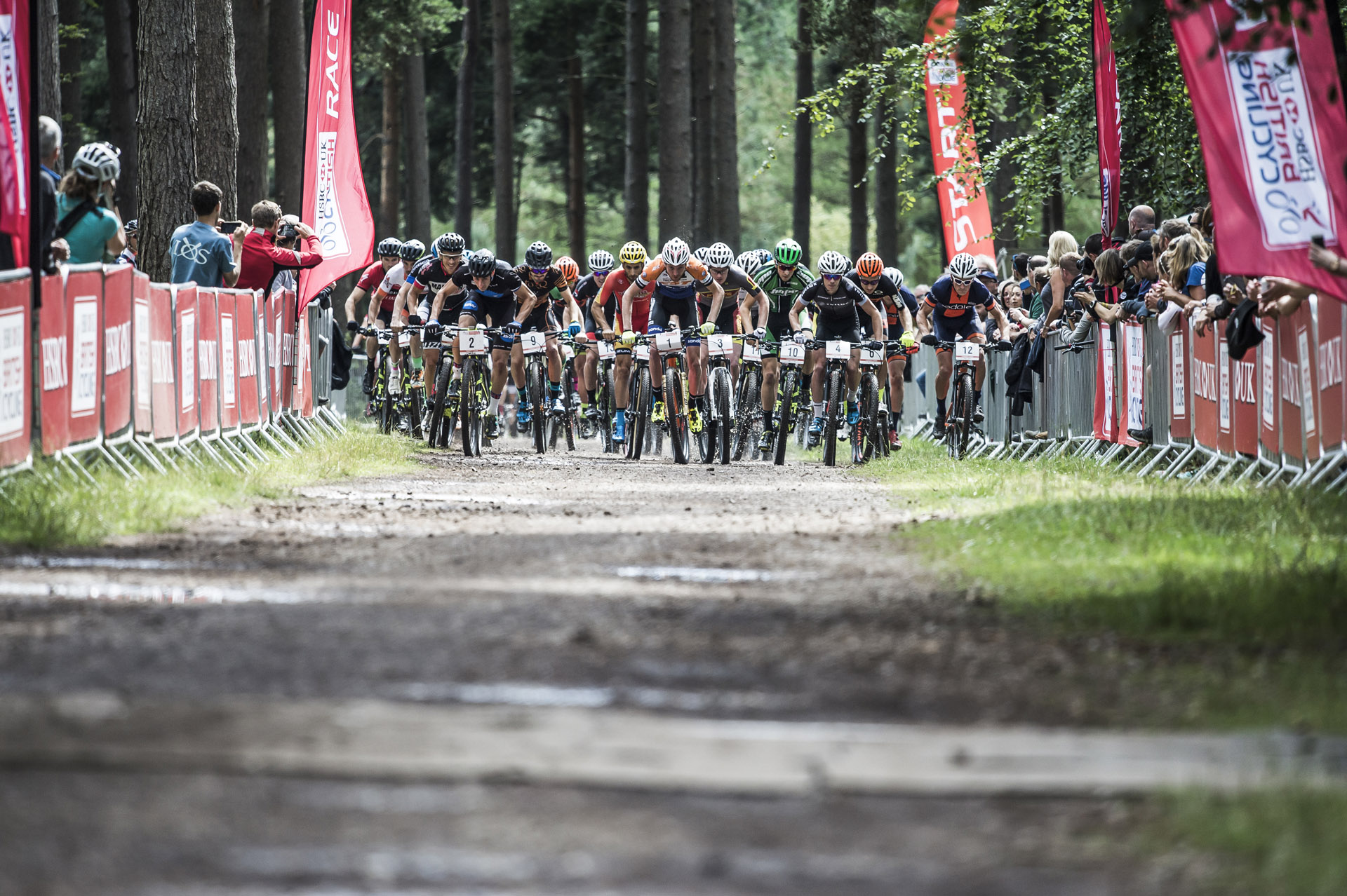 Gallery: National XC Championships, Cannock Chase