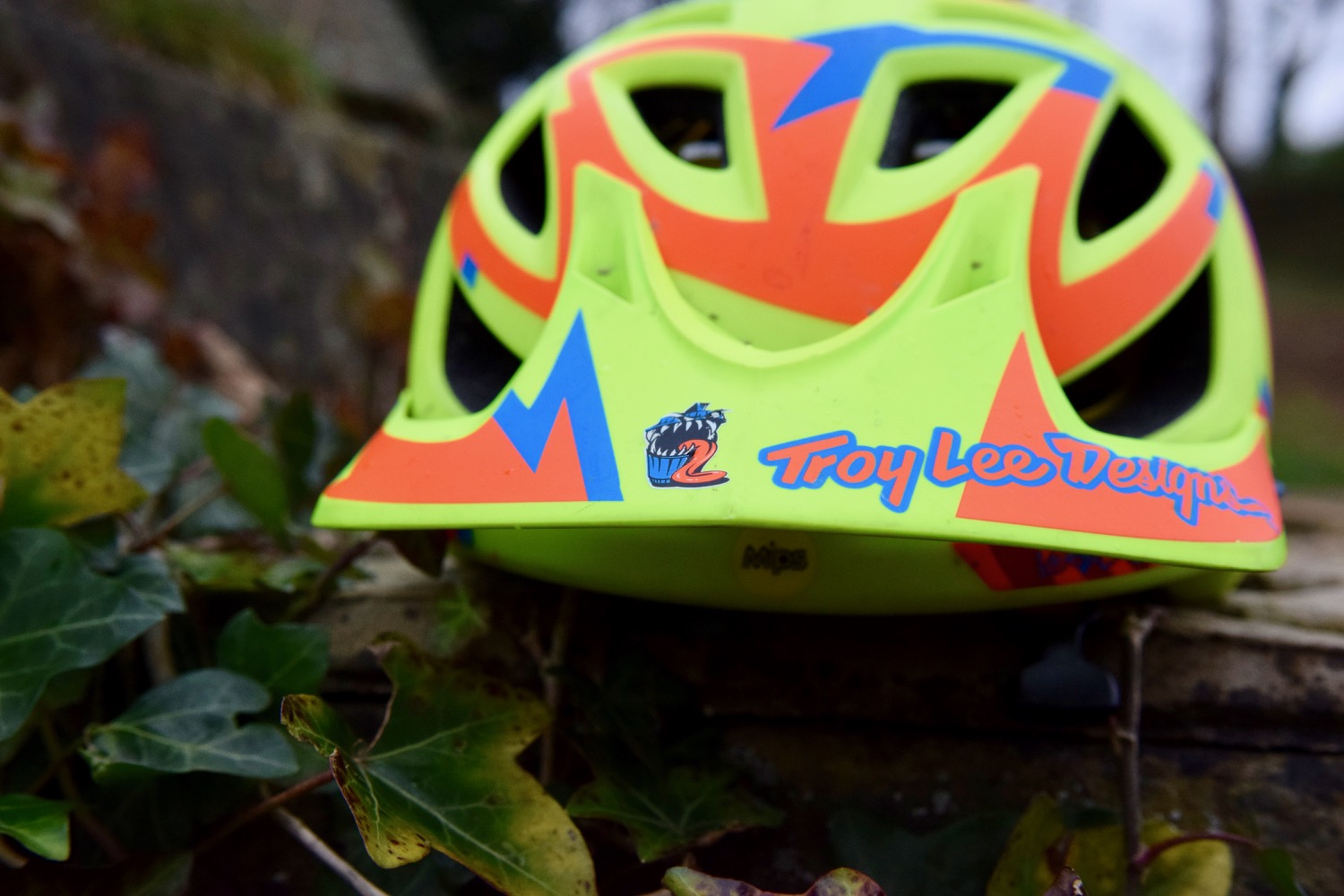 Troy Lee A1 MIPS