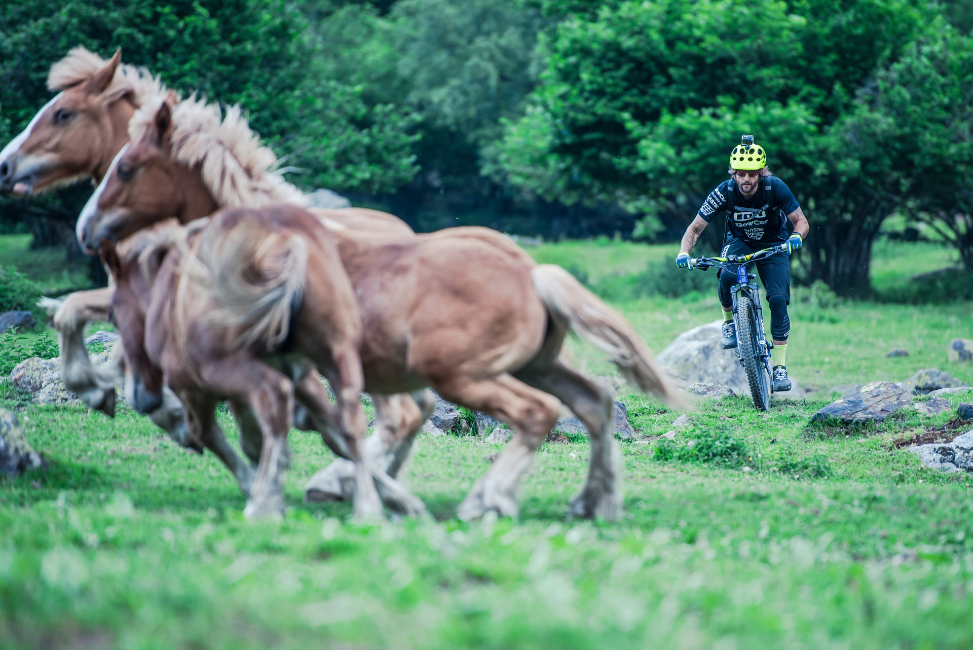 Video: David Cachon in the Catalonian Pyrenees