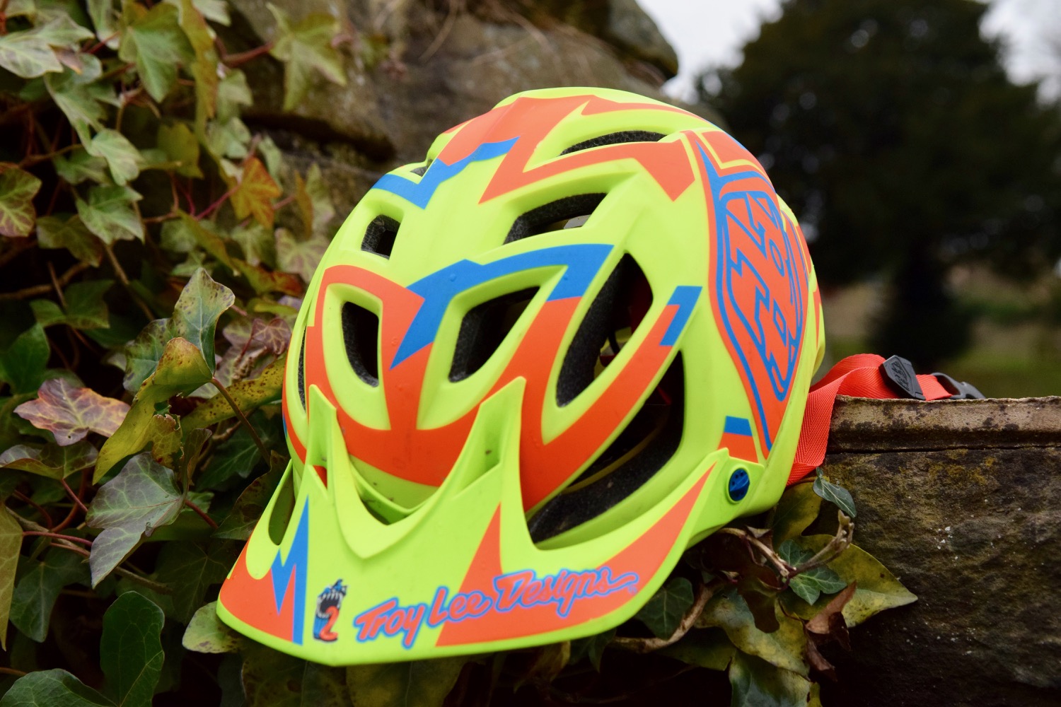 Troy Lee A1 MIPS