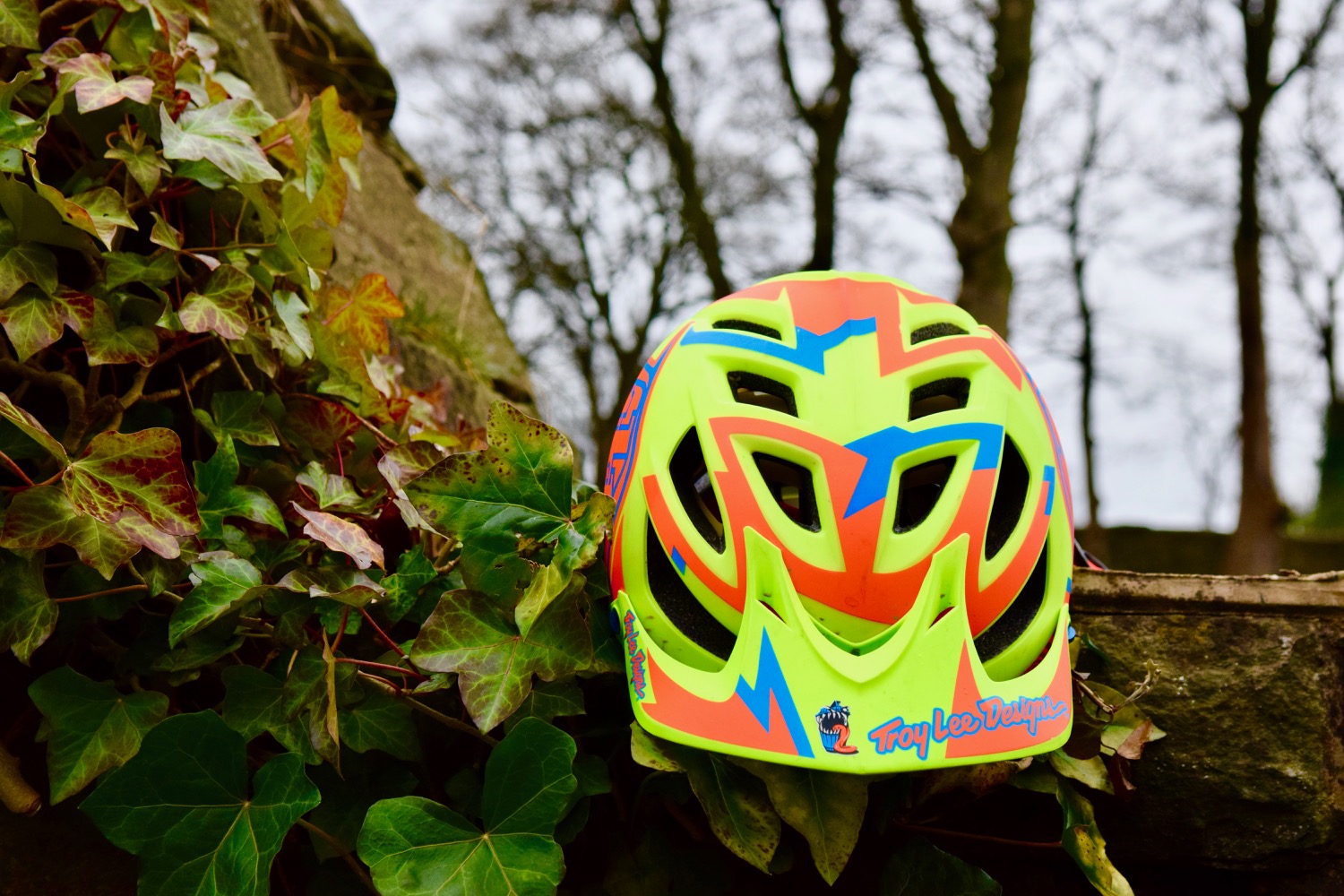 Troy Lee A1 MIPS