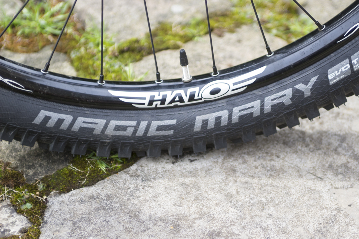 identiti mettle halo gusset