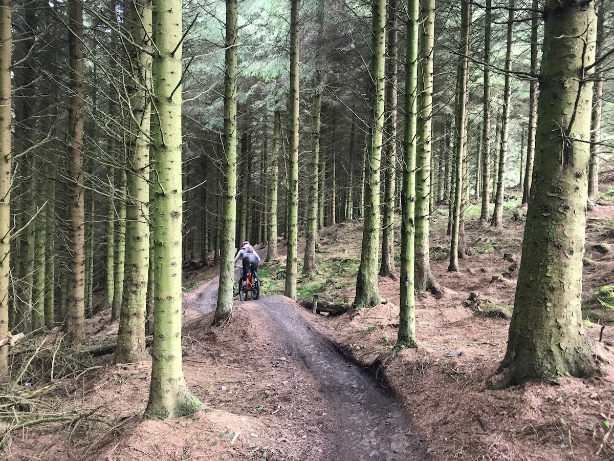 llandegla beate pine