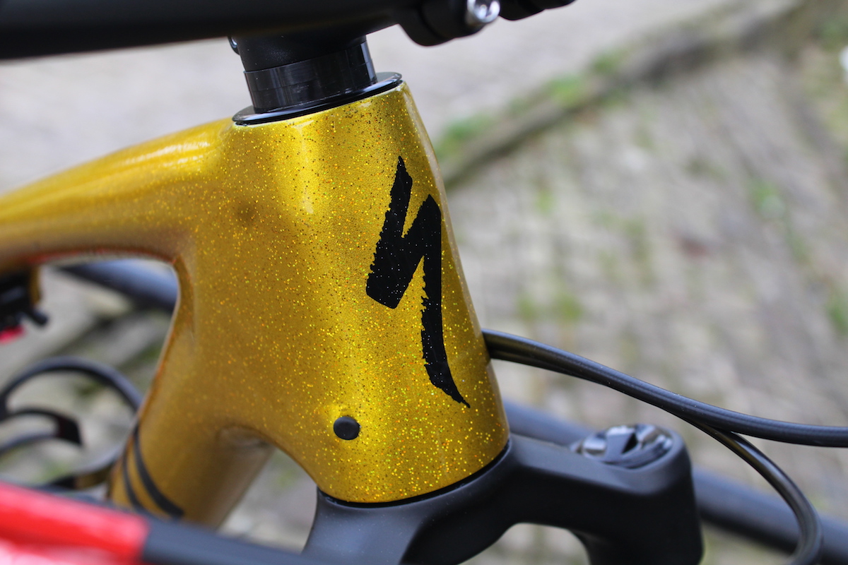specialized epic expert carbon brain