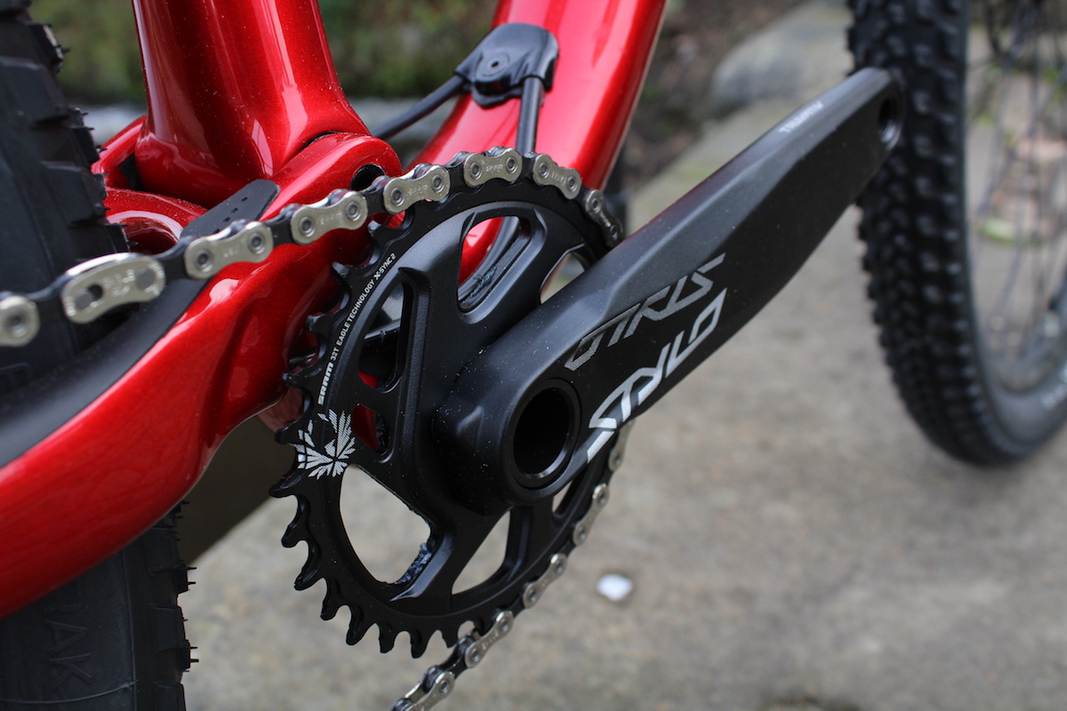 specialized epic expert carbon brain