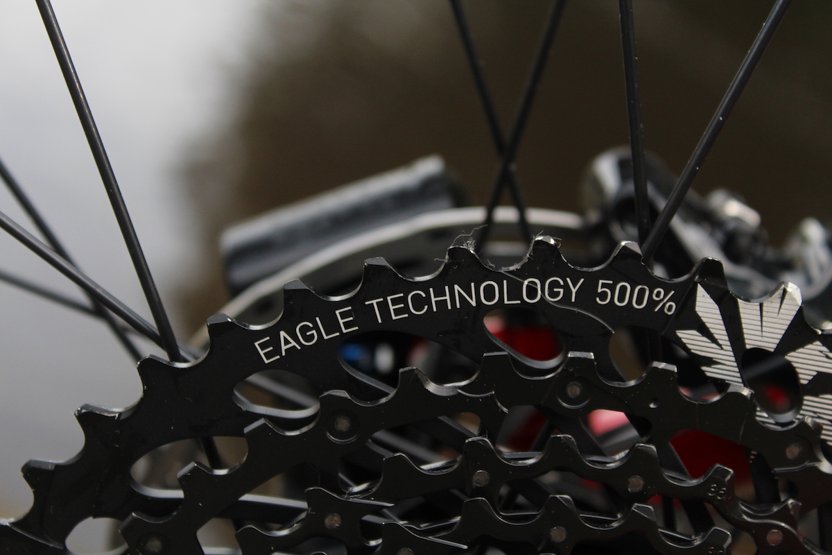 specialized epic expert carbon brain