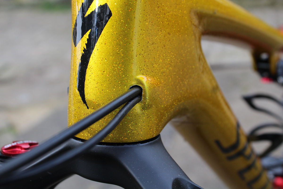 specialized epic expert carbon brain