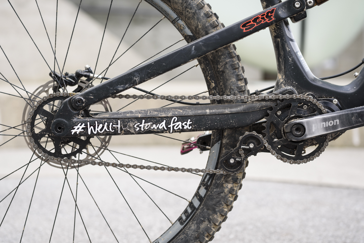 zerode taniwha pinion gearbox