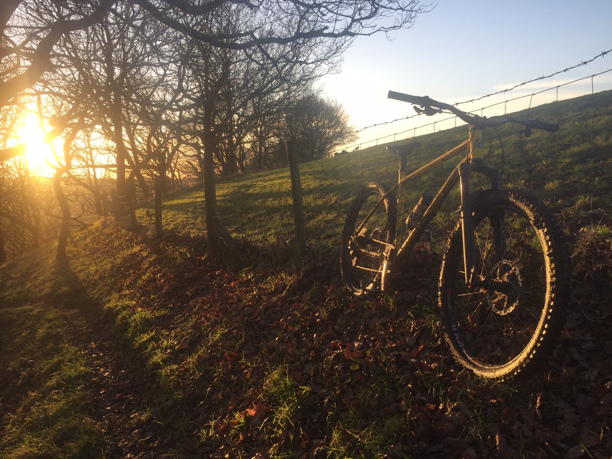 evening sun
