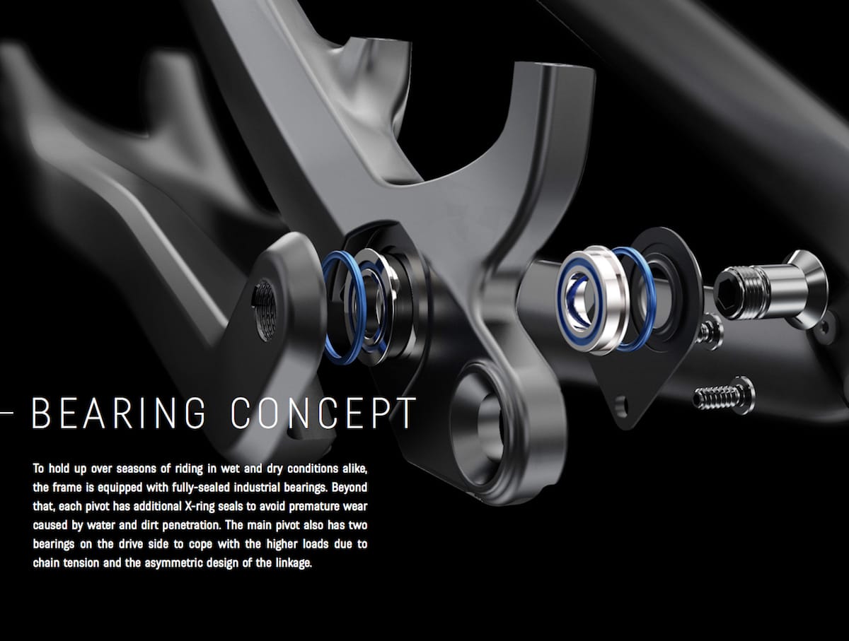 canyon spectral bearing