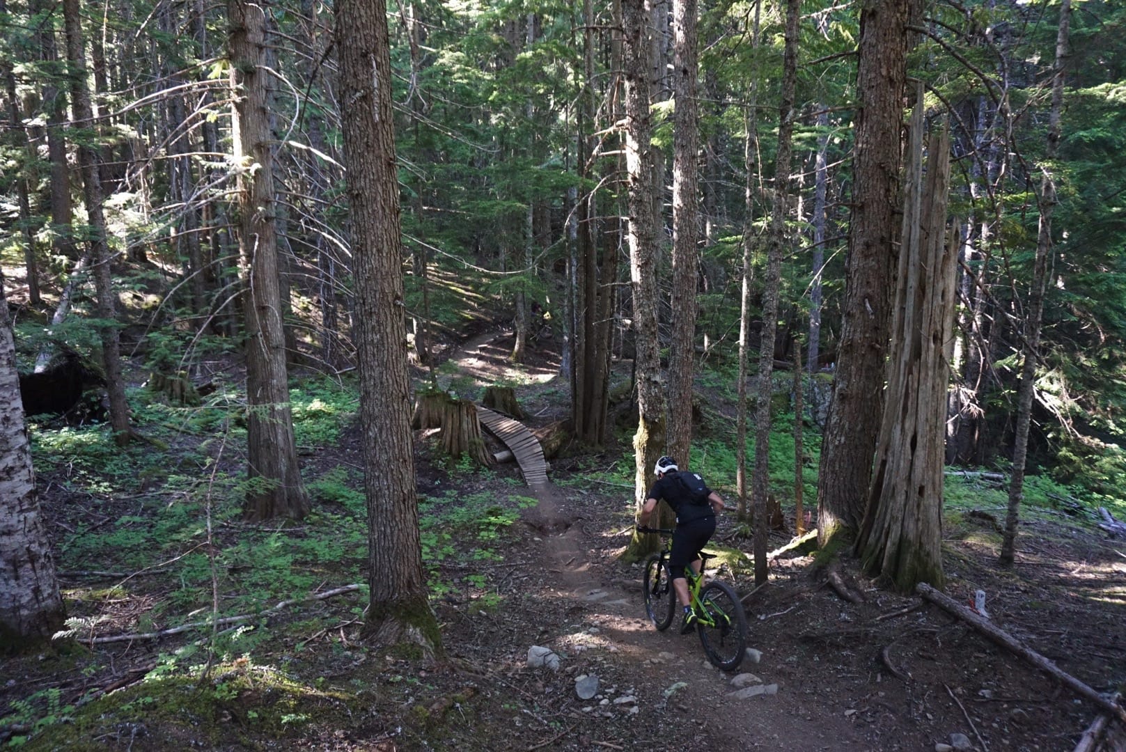 whistler for mortals