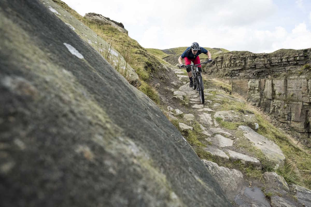 norco sight 29er a2 alloy lee quarry ross