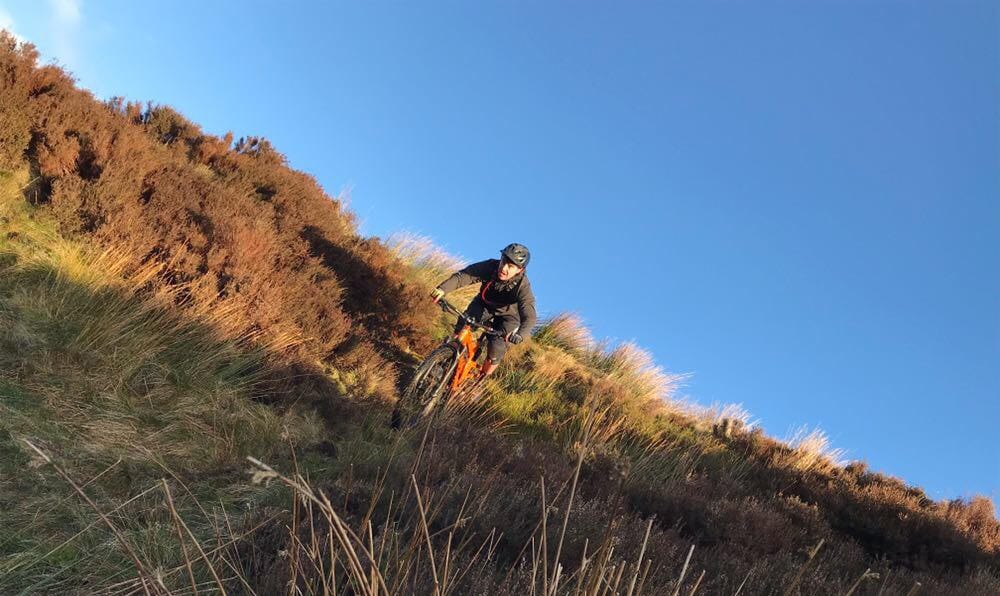 ross moorland