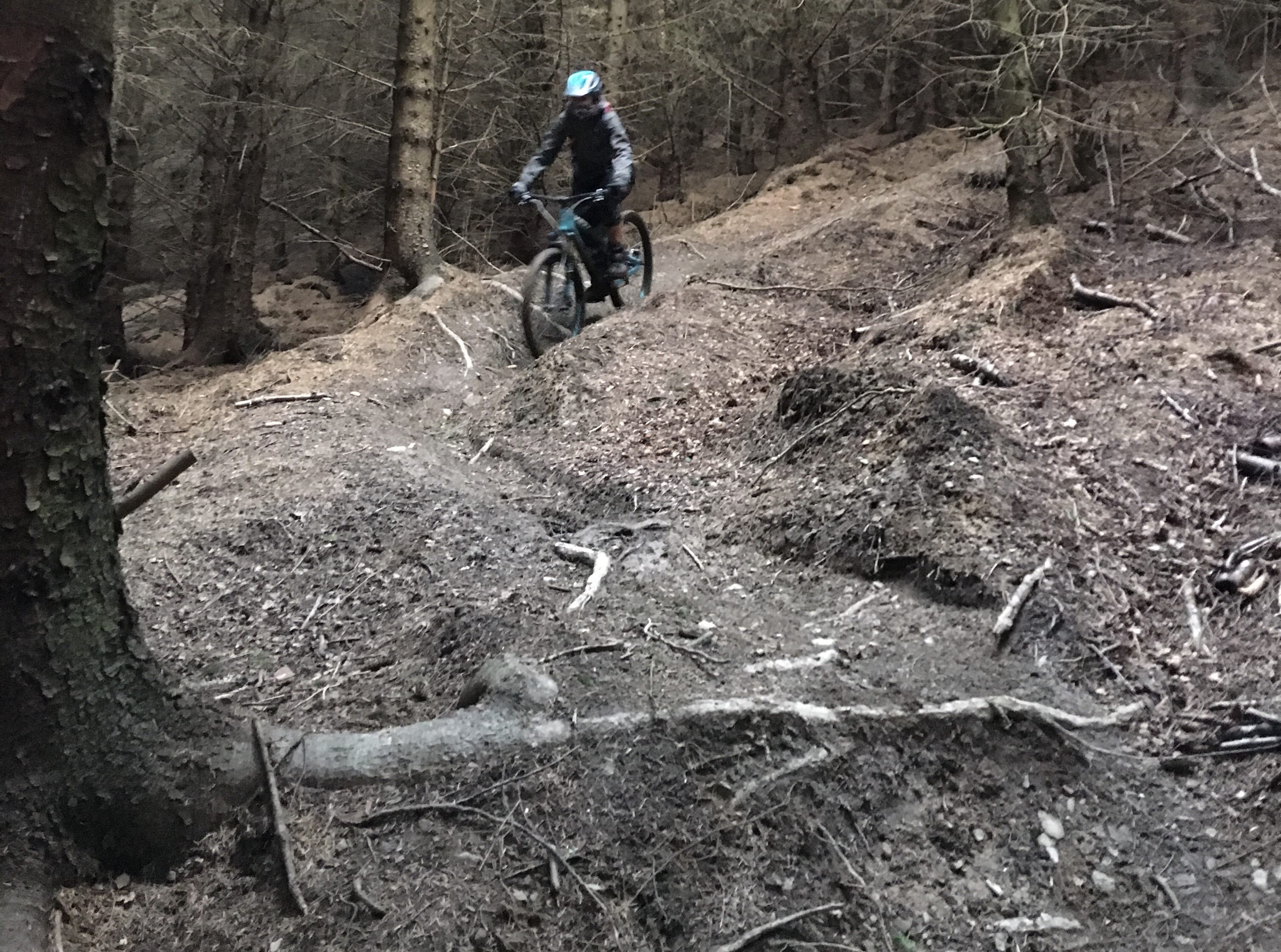 Amanda trees woods Innerleithen