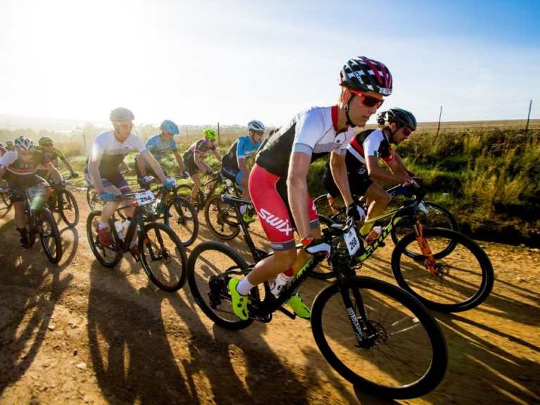 Farmer And Swarm Of Bees Cause Stage Race Confusion