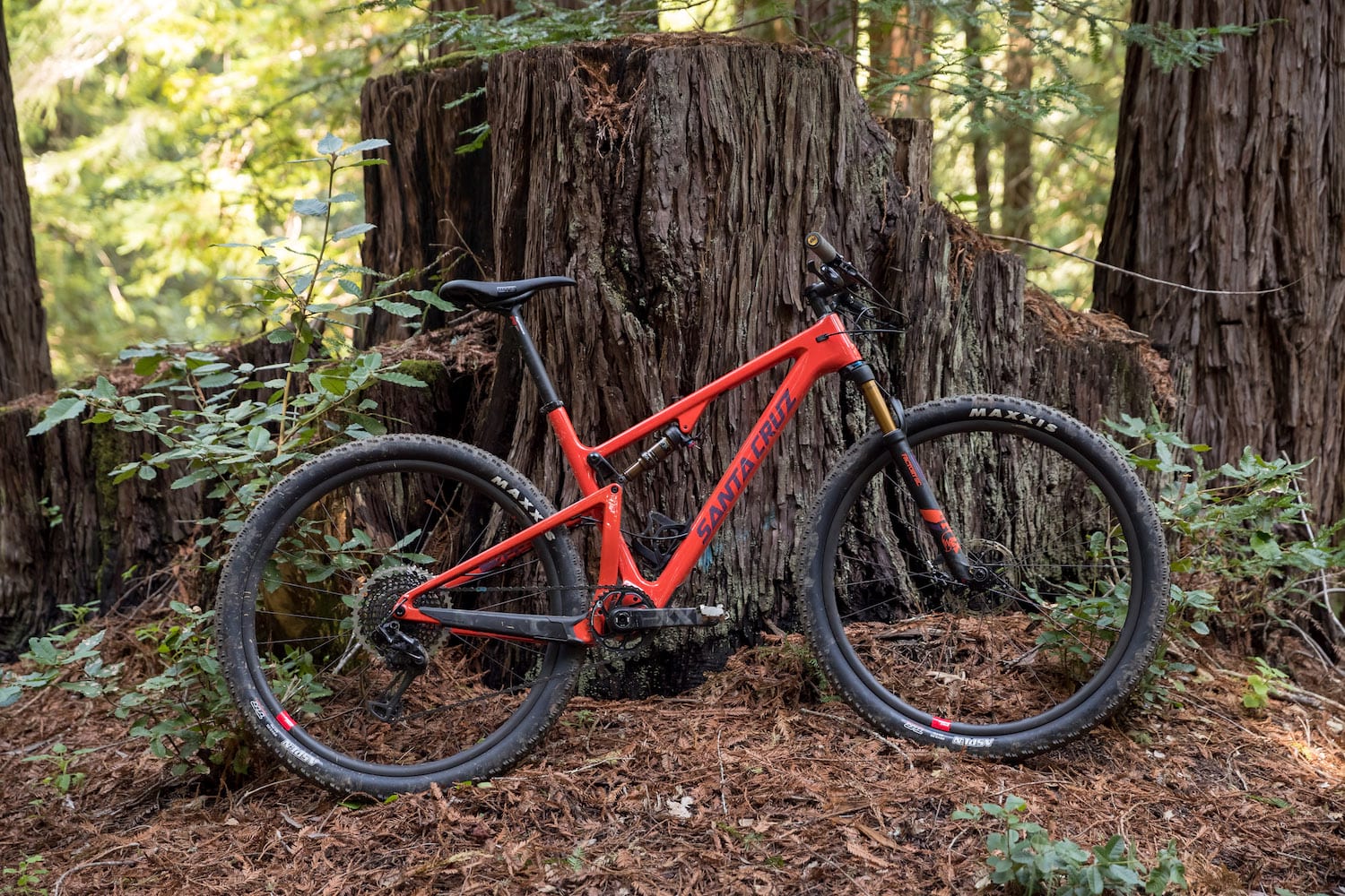 santa cruz blur 3 cc wil