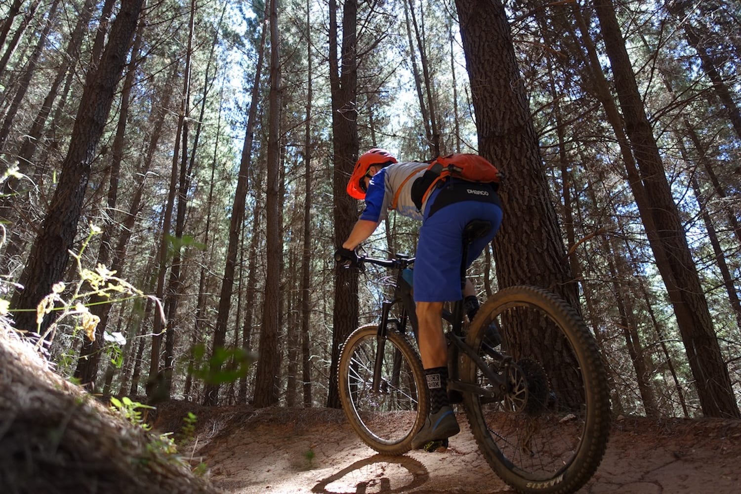 norco sight carbon wil bright australia