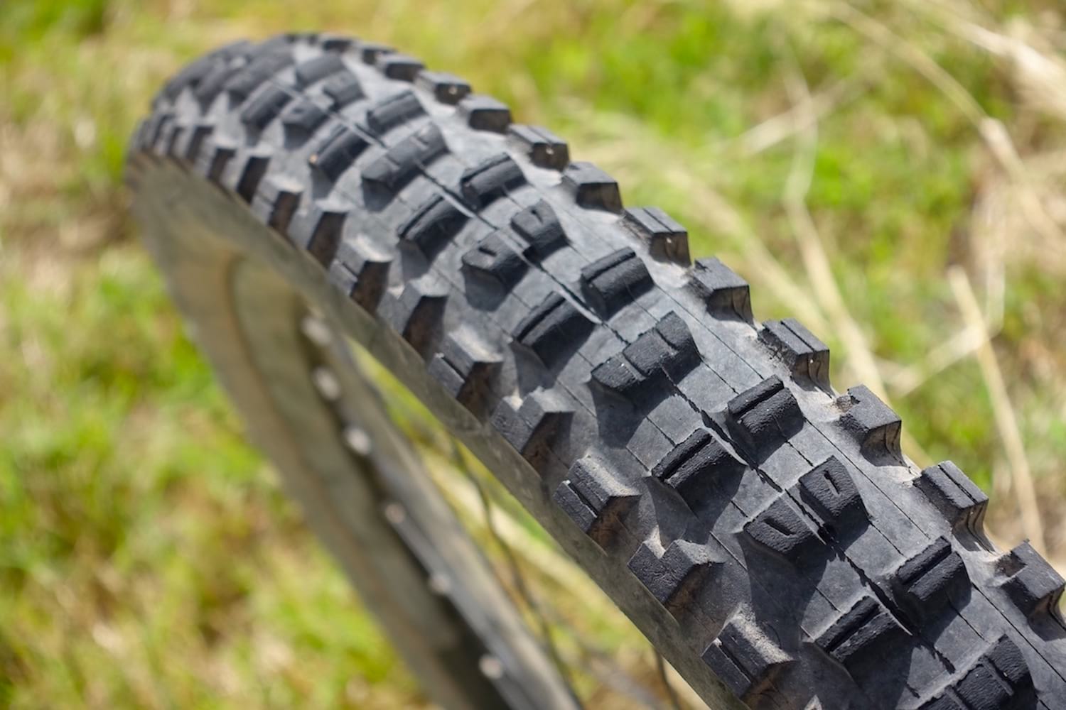 norco sight carbon maxxis minion dhr